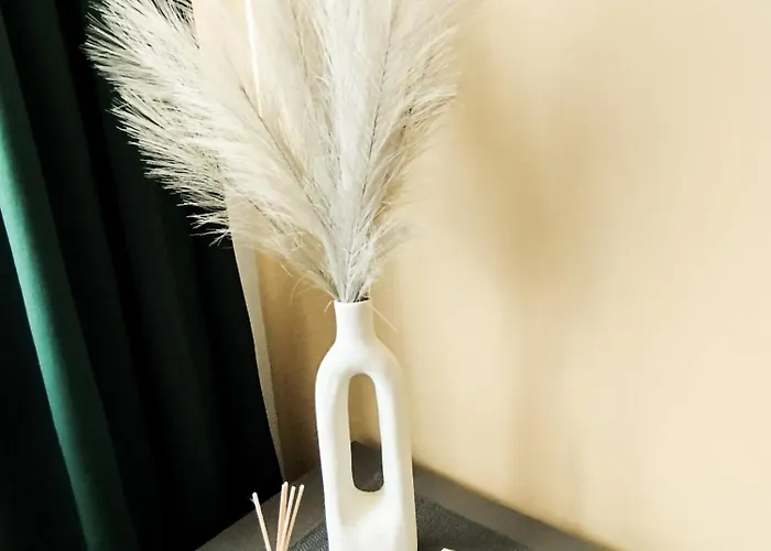 Cozy A Noko شقة *